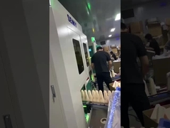 সম্পূর্ণ সার্ভো স্ক্রিন প্রিন্টিং এবং হট স্ট্যাম্পিং মেশিন